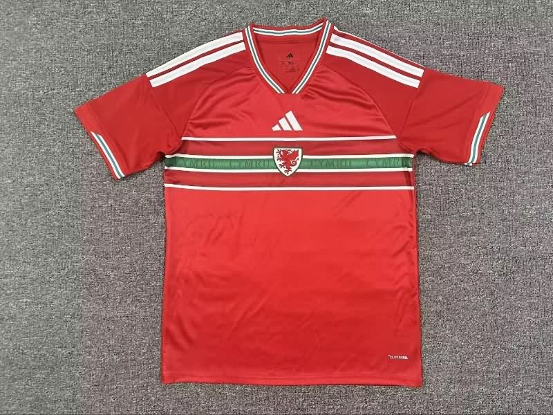 Thailand Quality(AAA) 2026 Wales Home Soccer Jersey