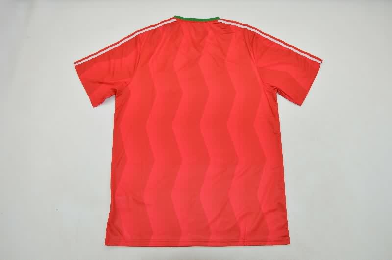 Thailand Quality(AAA) 1986 Bulgaria Away Retro Soccer Jersey