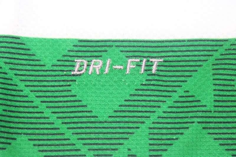 Thailand Quality(AAA) 2010/12 Celtic Home Retro Soccer Jersey