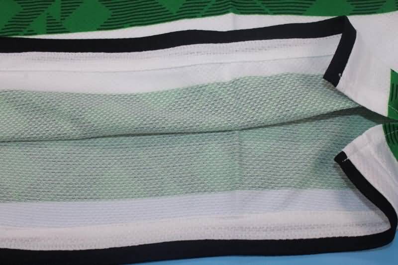 Thailand Quality(AAA) 2010/12 Celtic Home Retro Soccer Jersey