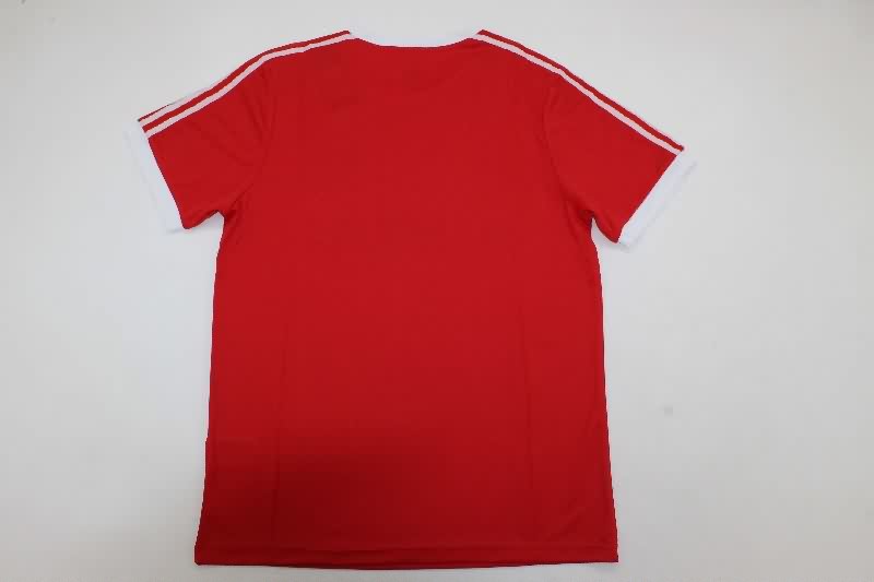 Thailand Quality(AAA) 1974/75 Hamburger SV Away Retro Soccer Jersey