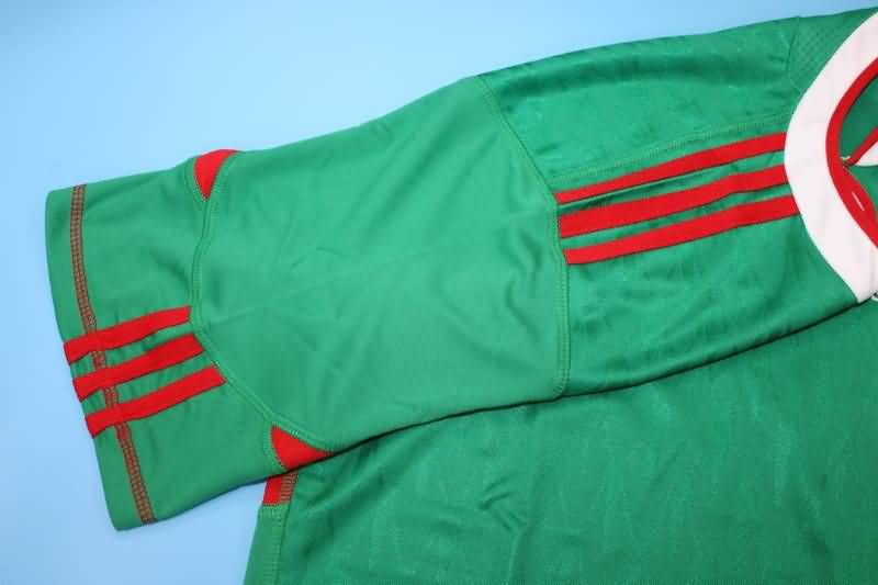 Thailand Quality(AAA) 2010 Mexico Home Retro soccer Jersey