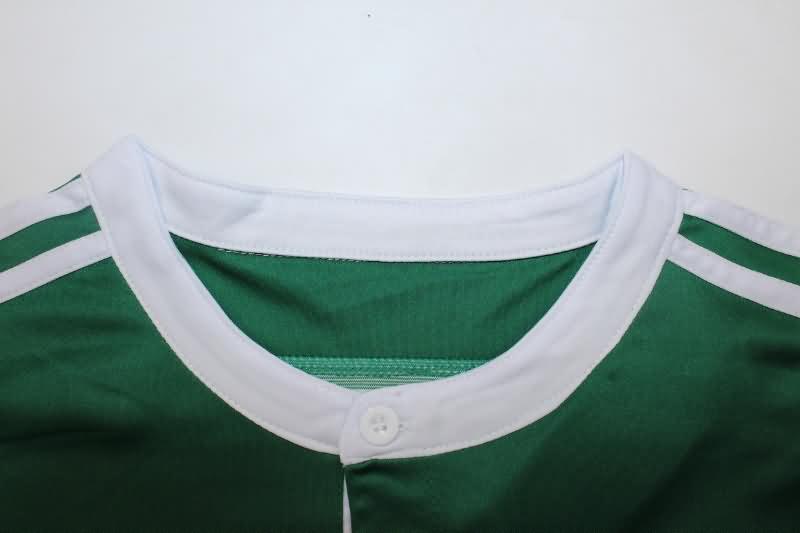 Thailand Quality(AAA) 2014 Palmeiras Third Retro Soccer Jersey