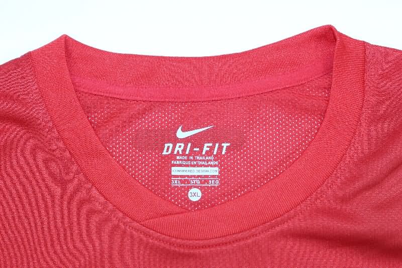 Thailand Quality(AAA) 2010 Portugal Home Long Sleeve Retro Soccer Jersey (Player)