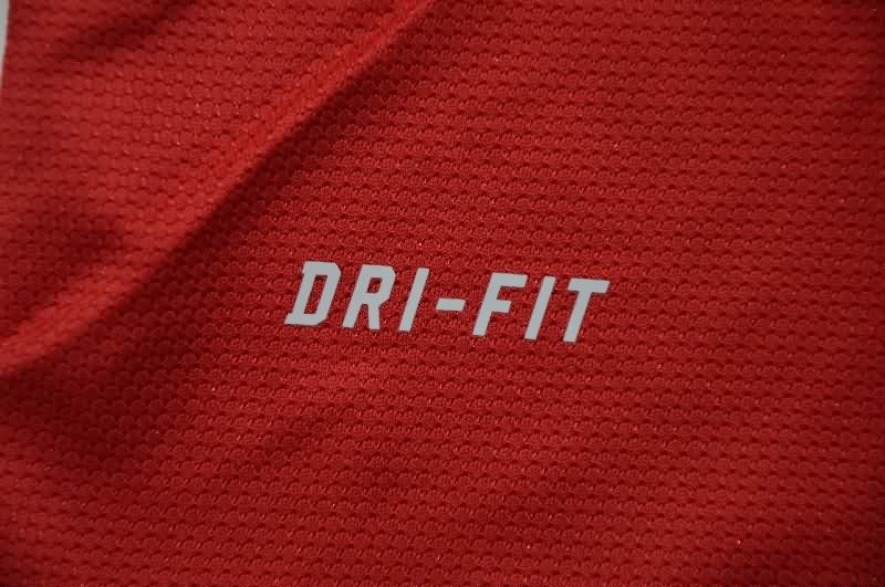 Thailand Quality(AAA) 2012 Portugal Home Retro Soccer Jersey (Player)