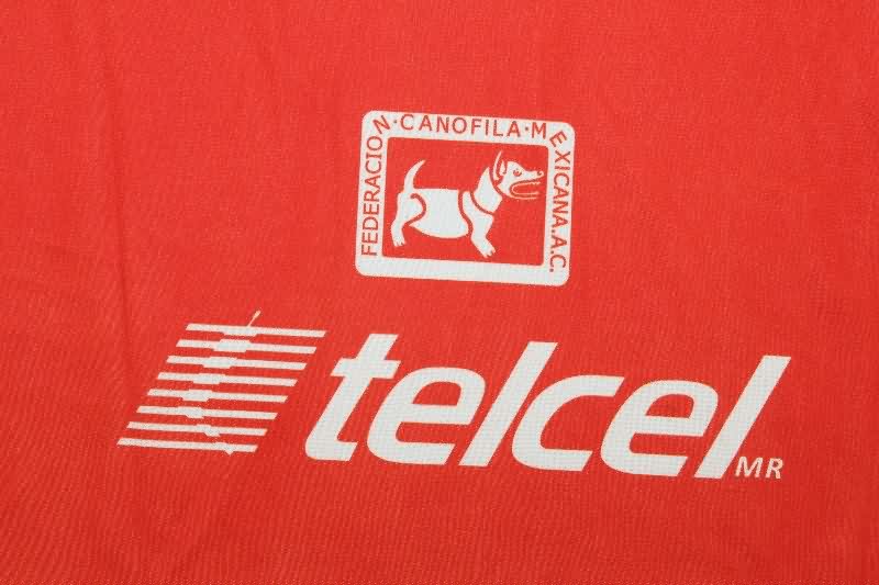 Thailand Quality(AAA) 2012/13 Tijuana Home Soccer Jersey
