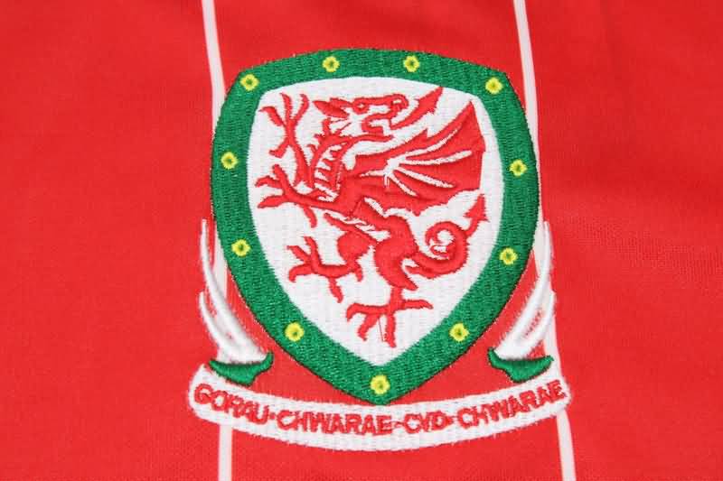 Thailand Quality(AAA) 2015/16 Wales Home Retro Soccer Jersey