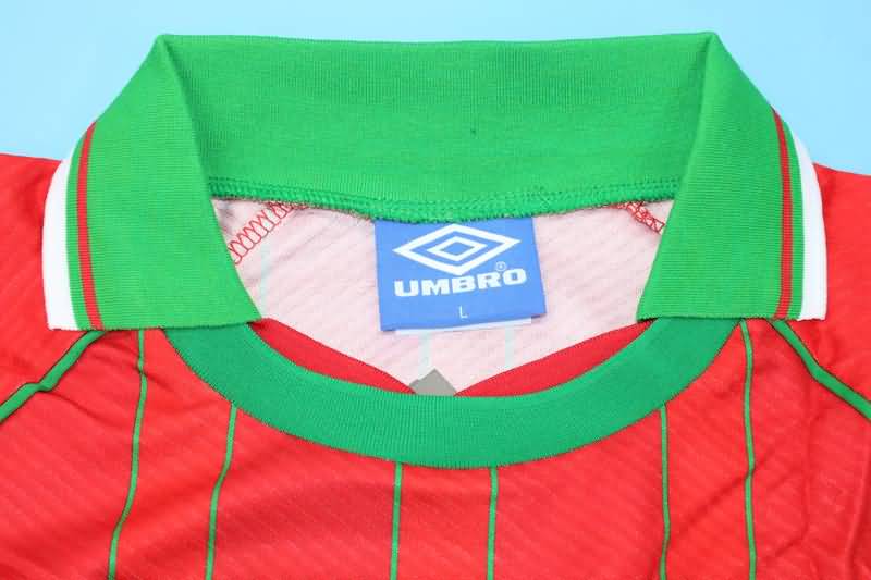 Thailand Quality(AAA) 1994/96 Wales Home Retro Soccer Jersey